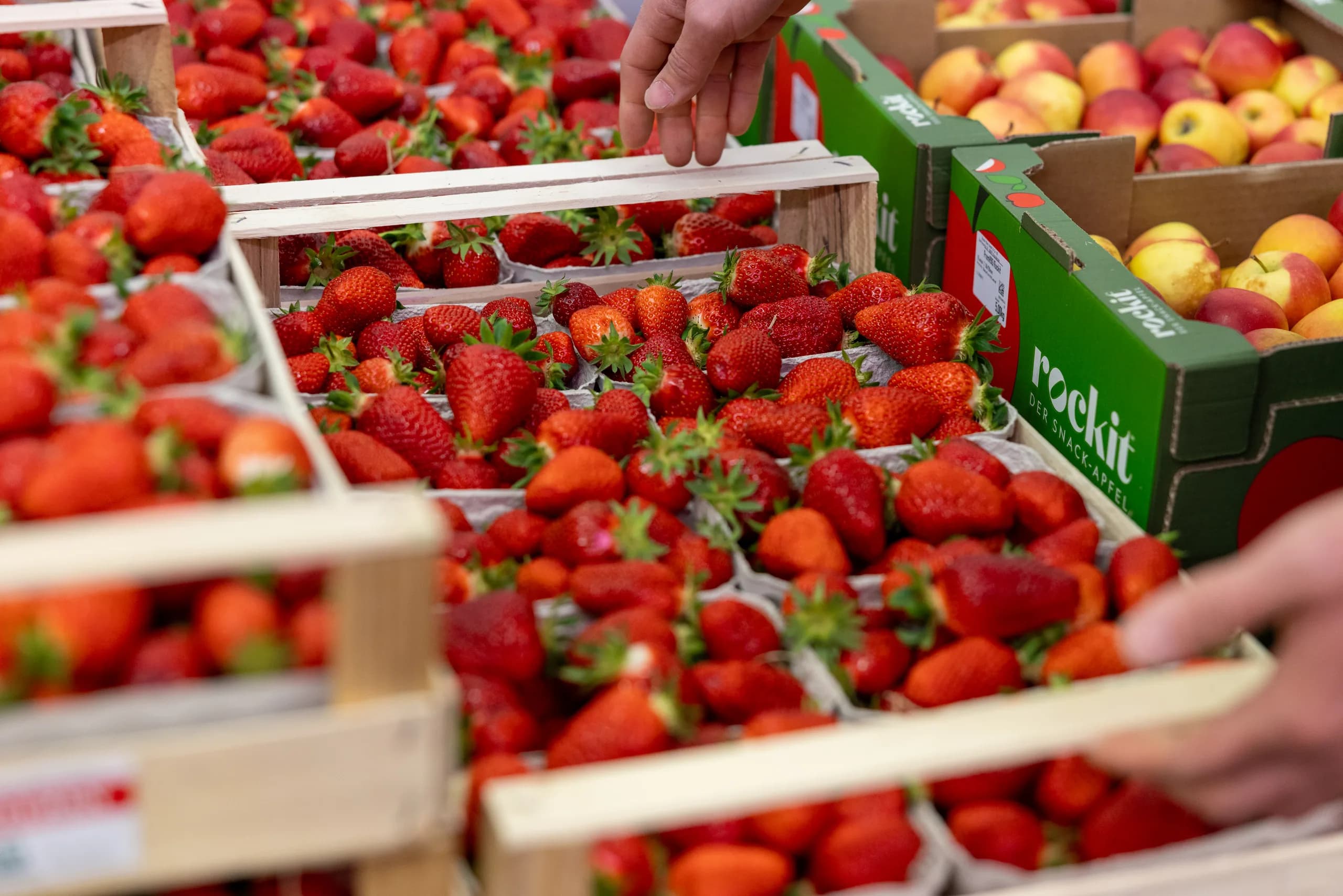 Frische rote Erdbeeren